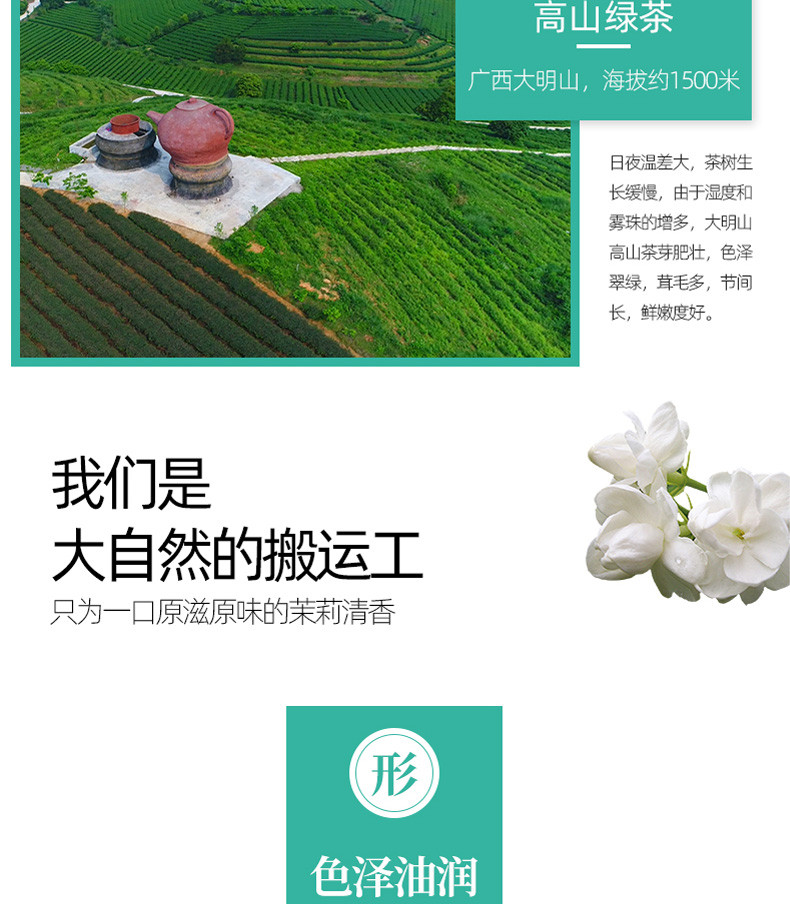 2020年新茶【中国农垦】大明山  广西农垦茶叶 浓香型茉莉花茶叶250g