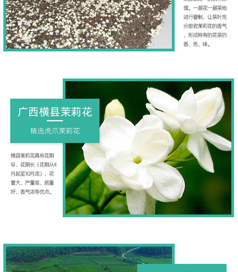 2020年新茶【中国农垦】大明山  广西农垦茶叶 浓香型茉莉花茶叶250g