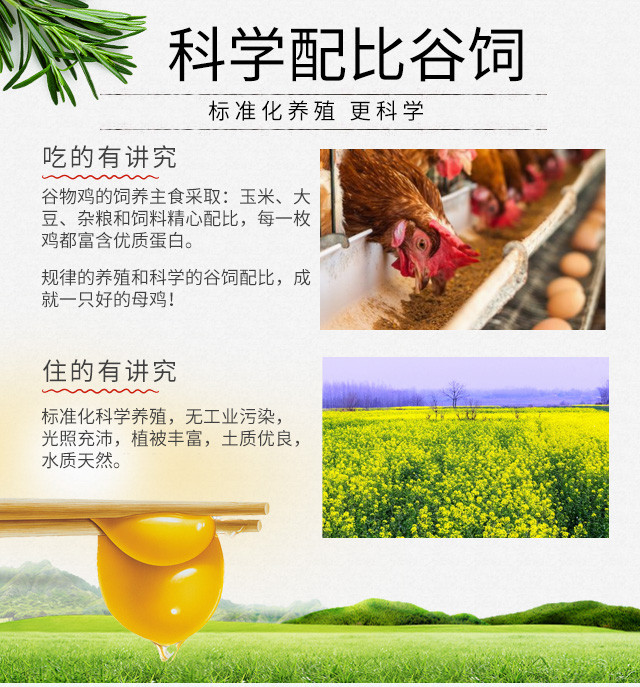 【领券立减10元】善食源 鲜鸡蛋 蛋黄稠密 蛋清晶莹透亮 天然谷物饲养 口感细腻 嫩滑Q弹 30枚