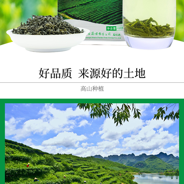 【中国农垦】2020新品上市 大明山  绿茶100g