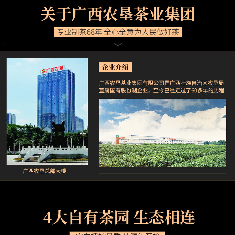 【中国农垦】2020新品上市 大明山  绿茶100g