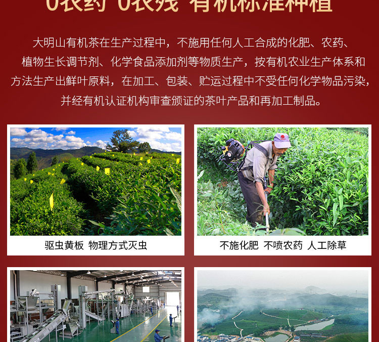 2020新茶【中国农垦】大明山 有机红茶 特级浓香型  福六红芽工夫红茶100g