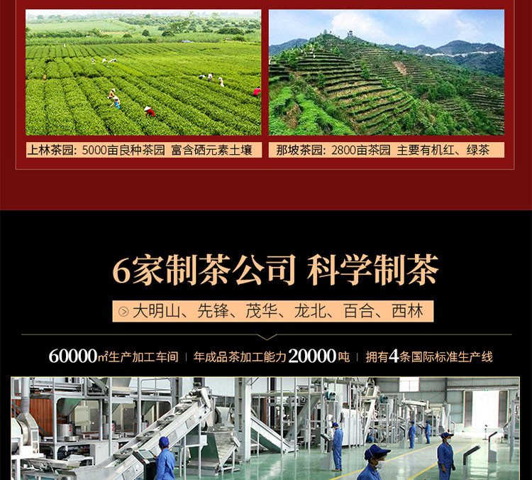 2020新茶【中国农垦】大明山 有机红茶 特级浓香型  福六红芽工夫红茶100g