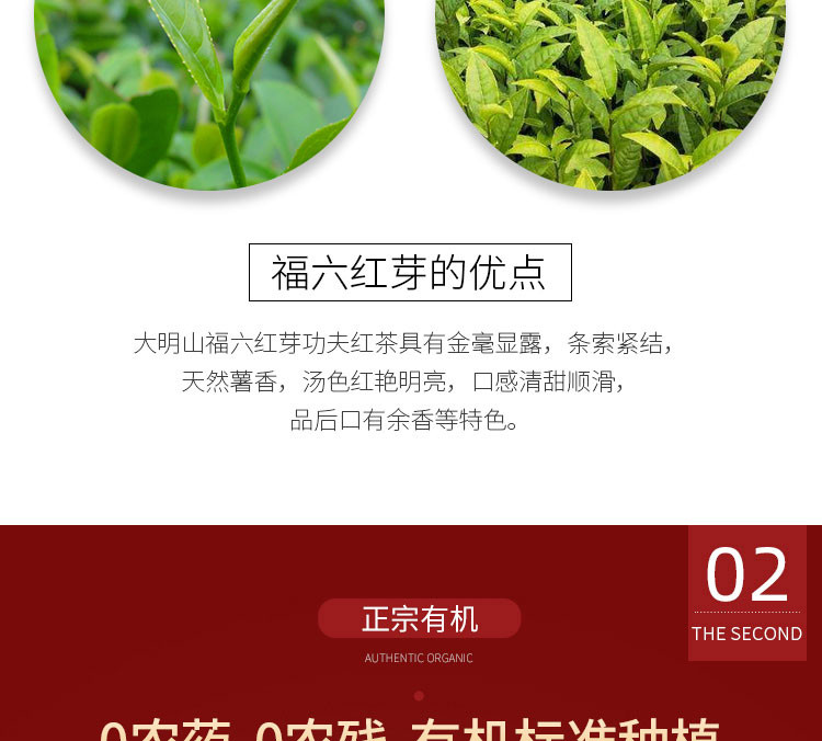 2020新茶【中国农垦】大明山 有机红茶 特级浓香型  福六红芽工夫红茶100g