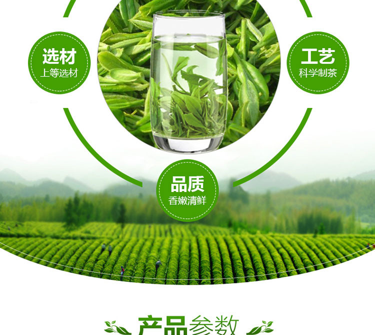  【2020新茶】大明山 绿茶 散装碧螺春 嫩芽碧螺春 浓香型125g/袋