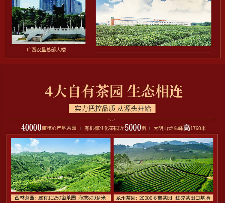 2020新茶【中国农垦】大明山 有机红茶 特级浓香型  福六红芽工夫红茶100g