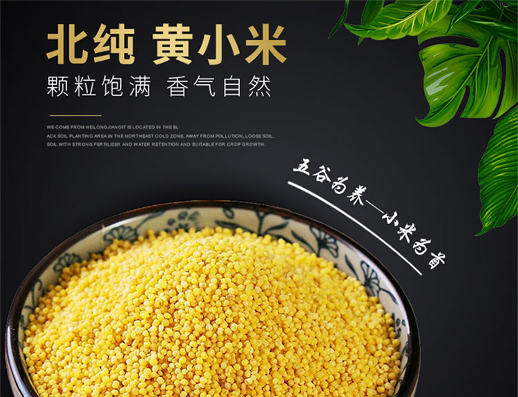   北纯精制黄小米  粗粮杂粮 大米伴侣 1kg/袋