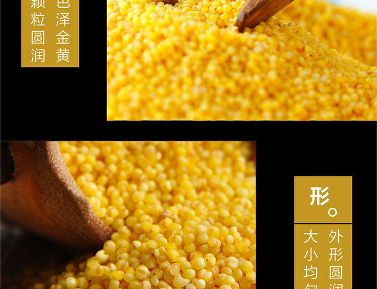   北纯精制黄小米  粗粮杂粮 大米伴侣 1kg/袋