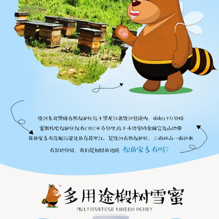 【中国农垦】北大荒  蜂蜂熊系列 东北黑蜂 纯蜂蜜 椴树雪蜜430g