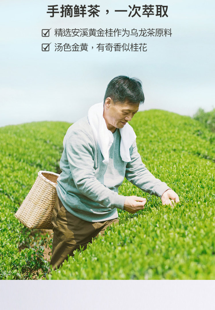 【元気燃茶】元气森林 无糖乌龙茶茉莉花茶 无糖饮料茶饮料 桃香燃茶500ml*15瓶整箱