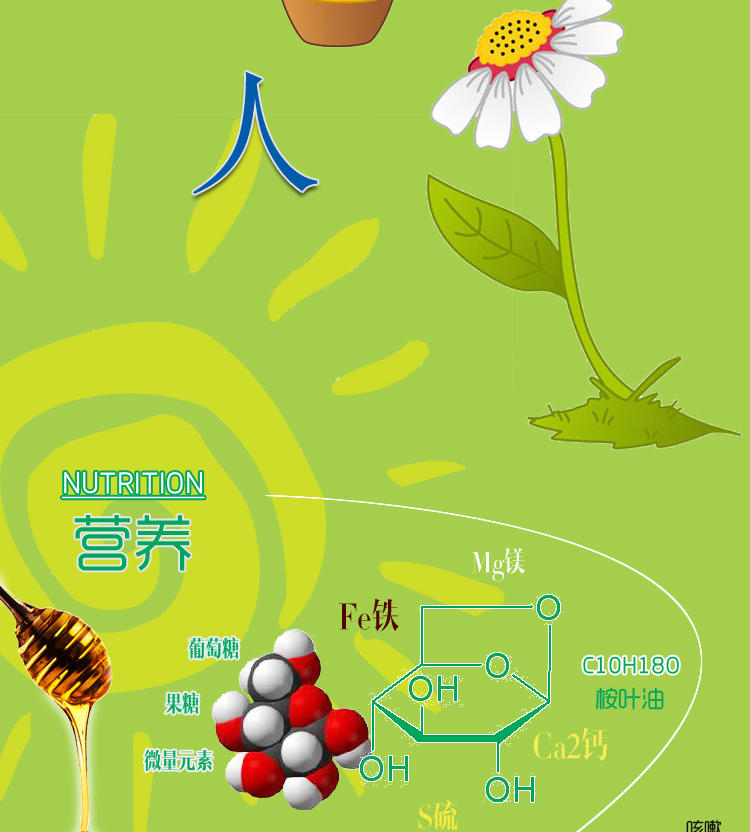 爱维力 尤加利蜂蜜巴西原装进口纯天然野生桉树雾霾清咽肺1kg