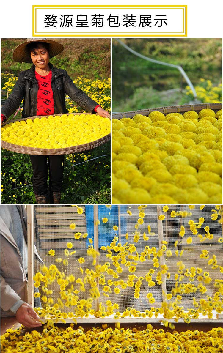 一亩塘 婺源皇菊 颜王装 菊花茶 五“颜”绘就美丽人生 江西婺源特产 10朵独立包装*5