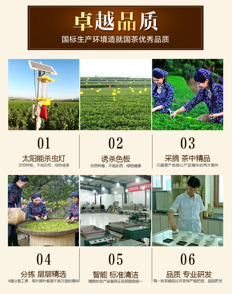 小隐茶人茶叶绿茶2015新茶六安瓜片手工原产地50g*2