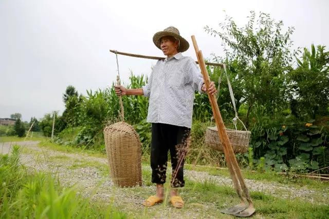 开州特产开州区九龙山大米 新米 农家纯天然有机米 拒绝使用除草剂，坚持人工除草，不打农药！限量500