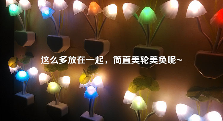 花盆小夜灯 感应灯 壁灯 夜光 插电 LED 自动光控 时尚创意 老人宝宝 卧室【多省包邮】