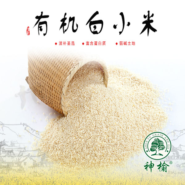 【白城馆】吉林白城东北发发白小米500g*6瓶