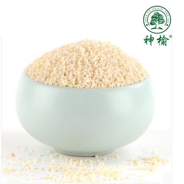 【白城馆】吉林白城东北发发白小米500g*6瓶