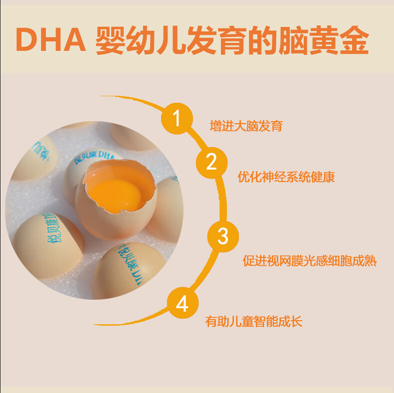 悦贝康卵磷脂婴童版DHA鸡蛋营养新鲜15枚