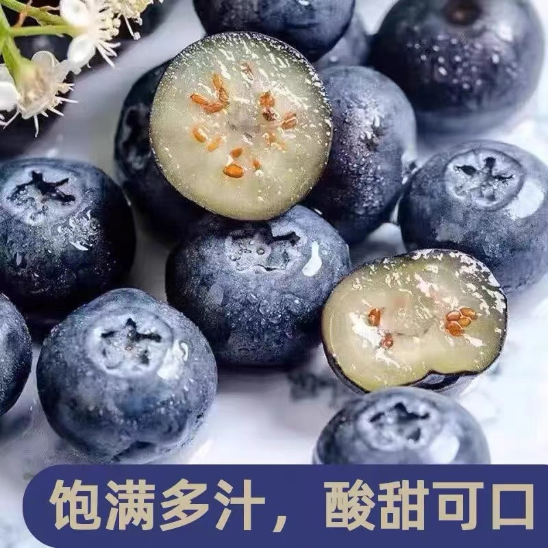 农家自产 脆甜蓝莓鲜果【綦江馆]