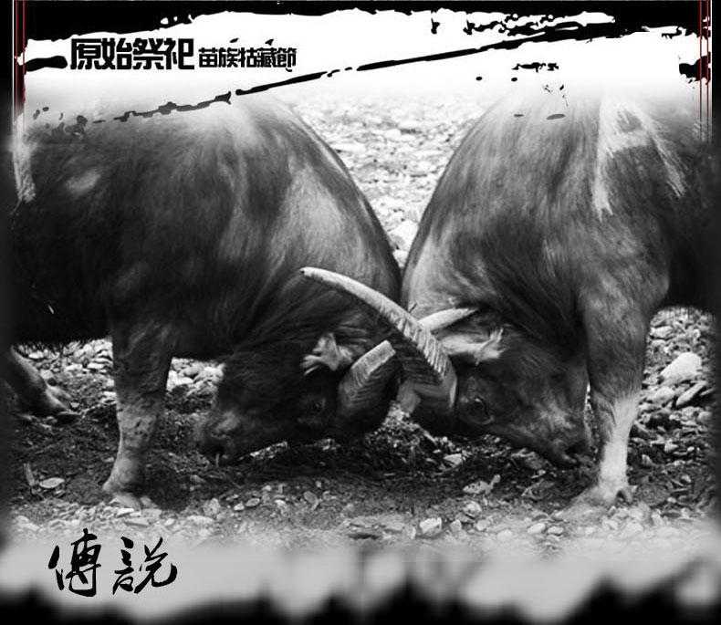 贵州黔东南特产  剑河县古藏头牛肉干960g