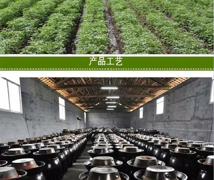 【麻江·珍珠泡椒】黔东南麻江特产苗岭香食品450g珍珠泡椒两瓶装省内包邮（为便于运输均发塑料瓶装）