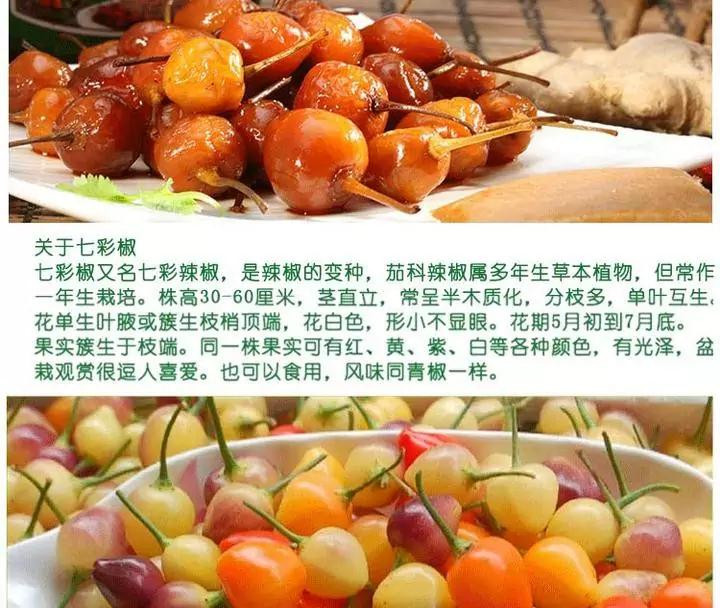 【麻江·珍珠泡椒】黔东南麻江特产苗岭香食品450g珍珠泡椒两瓶装省内包邮（为便于运输均发塑料瓶装）