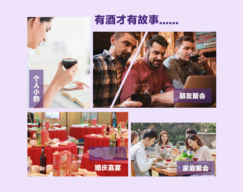 【促销装】麻江蓝莓果酒500毫升6瓶装 全国包邮（港澳台及偏远地区不发货）