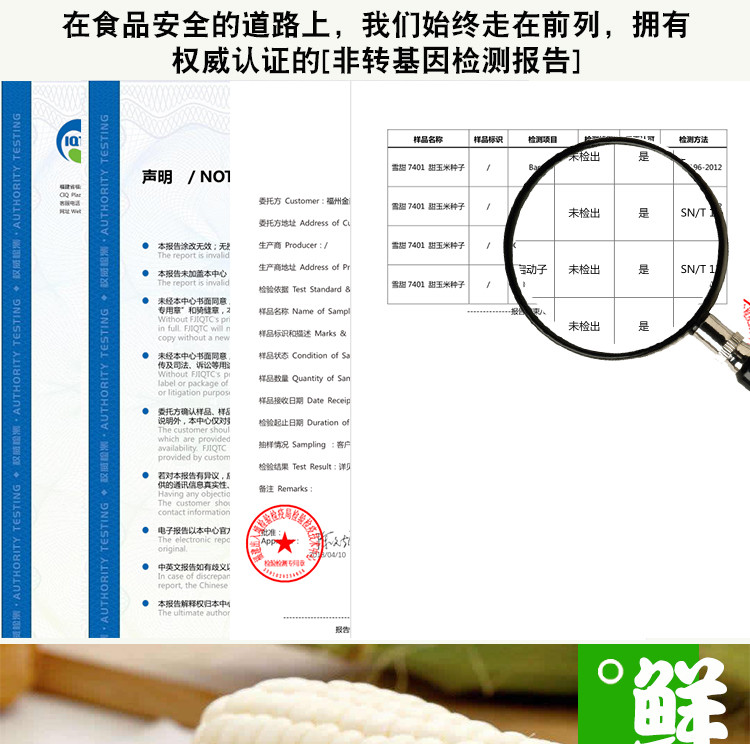 【水果玉米】贵州黎平水果玉米甜玉米能生吃的玉米约4斤装（6-8个）贵州省内包邮