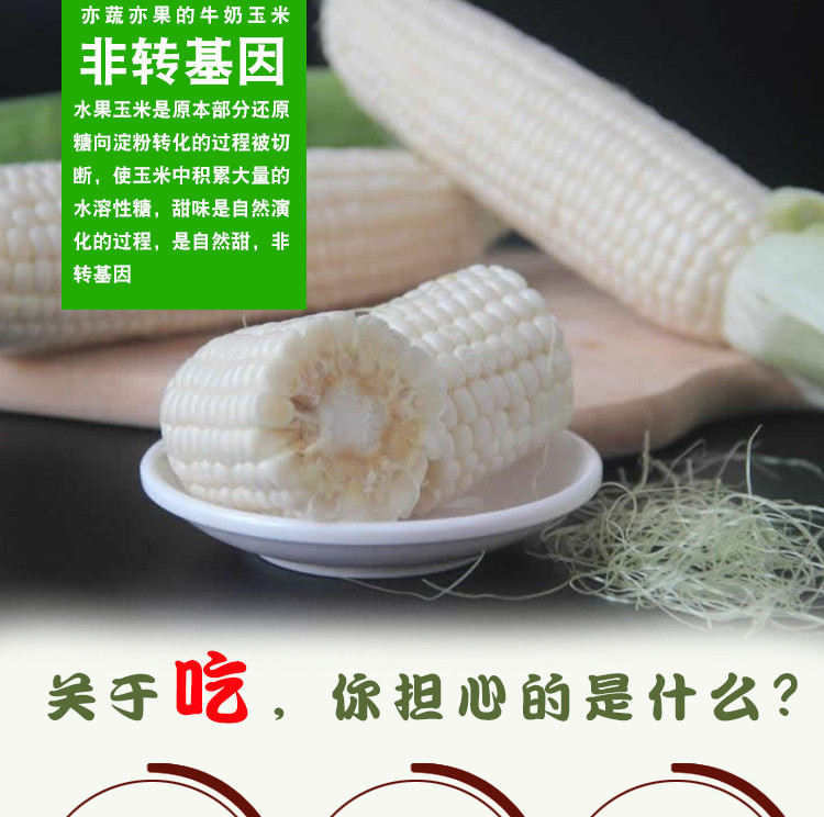 【水果玉米】贵州黎平水果玉米甜玉米能生吃的玉米约4斤装（6-8个）贵州省内包邮
