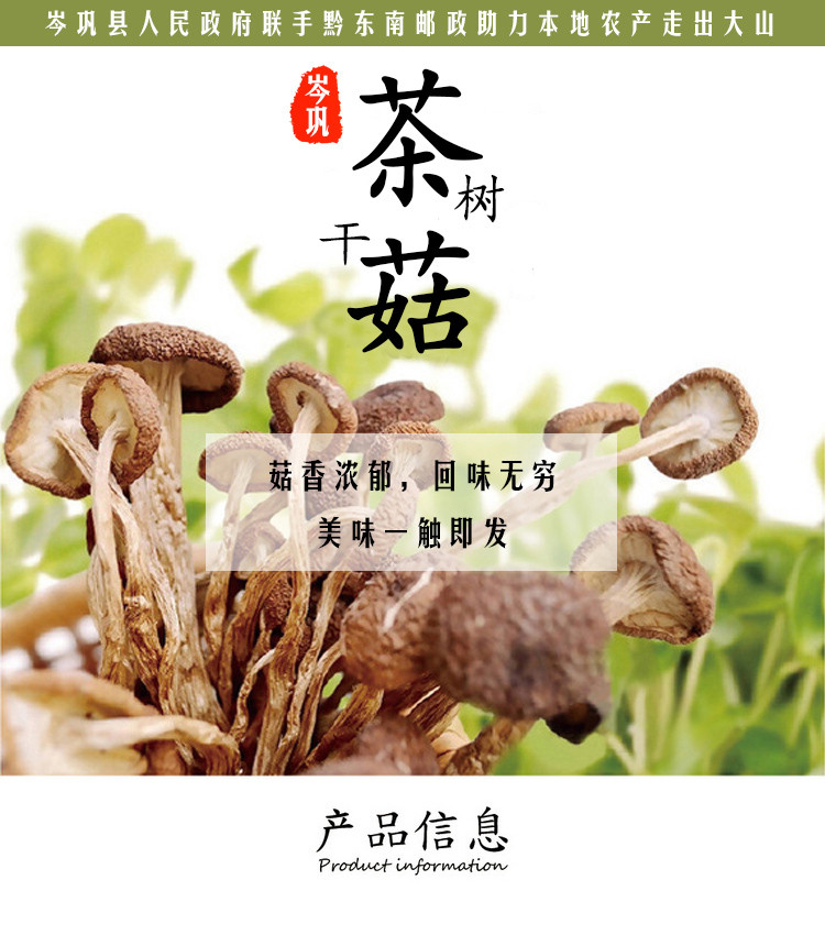 【岑巩茶树菇】贵州岑巩茶树菇干 菇香浓郁现摘现烘焙500g贵州省内包邮