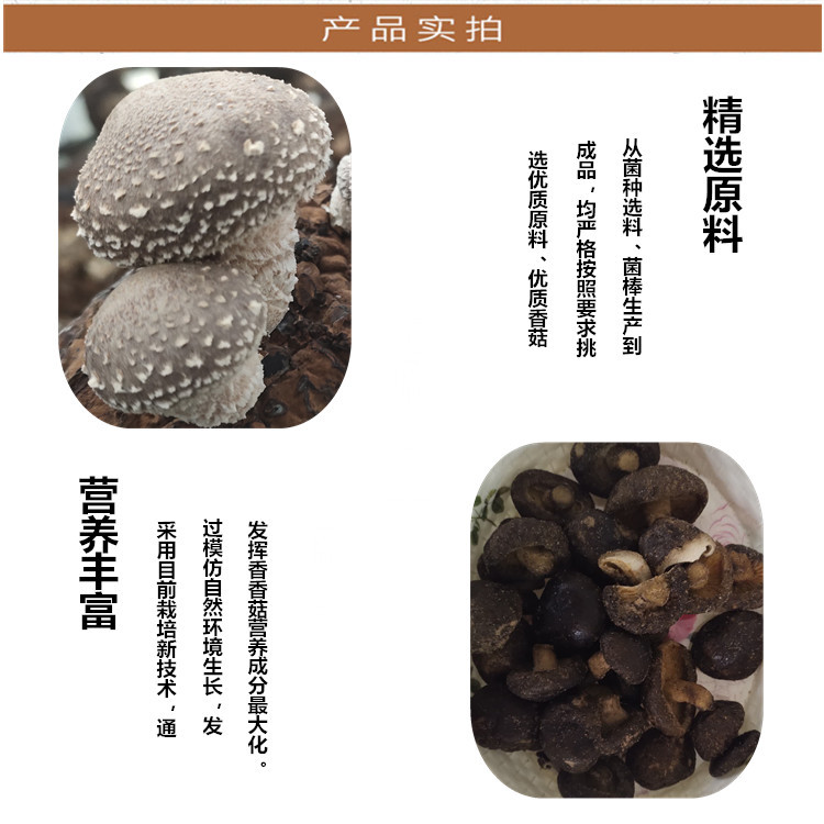 【香菇脆片】贵州台江香菇脆片 香菇休闲零食85g/罐 鲜脆可口营养美味贵州省内包邮