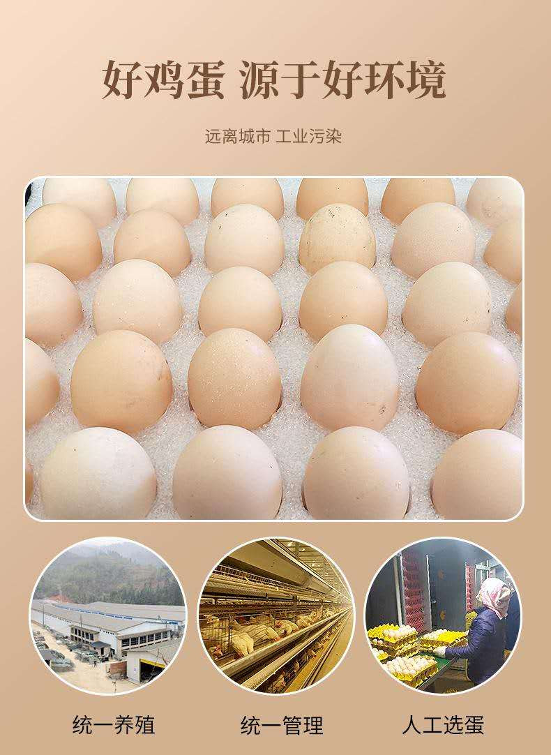  贵州【从江鸡蛋】农产品 新鲜鸡蛋 30枚装 全国包邮部分地区不发货