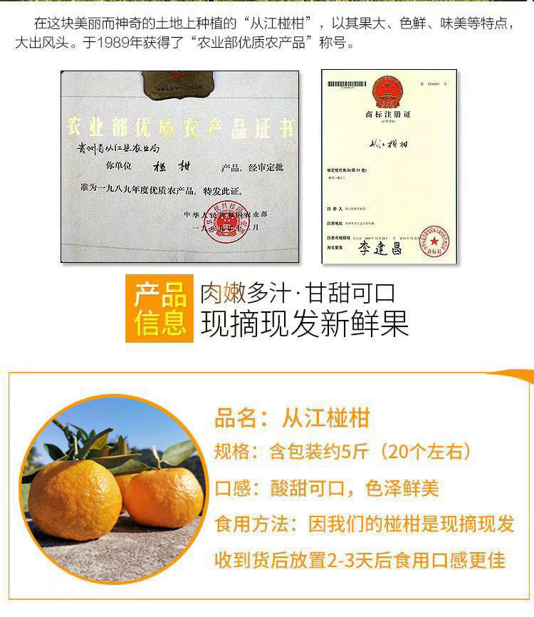 【从江椪柑】贵州从江椪柑 新鲜当季新鲜水果约5斤 细腻脆甜全国包邮
