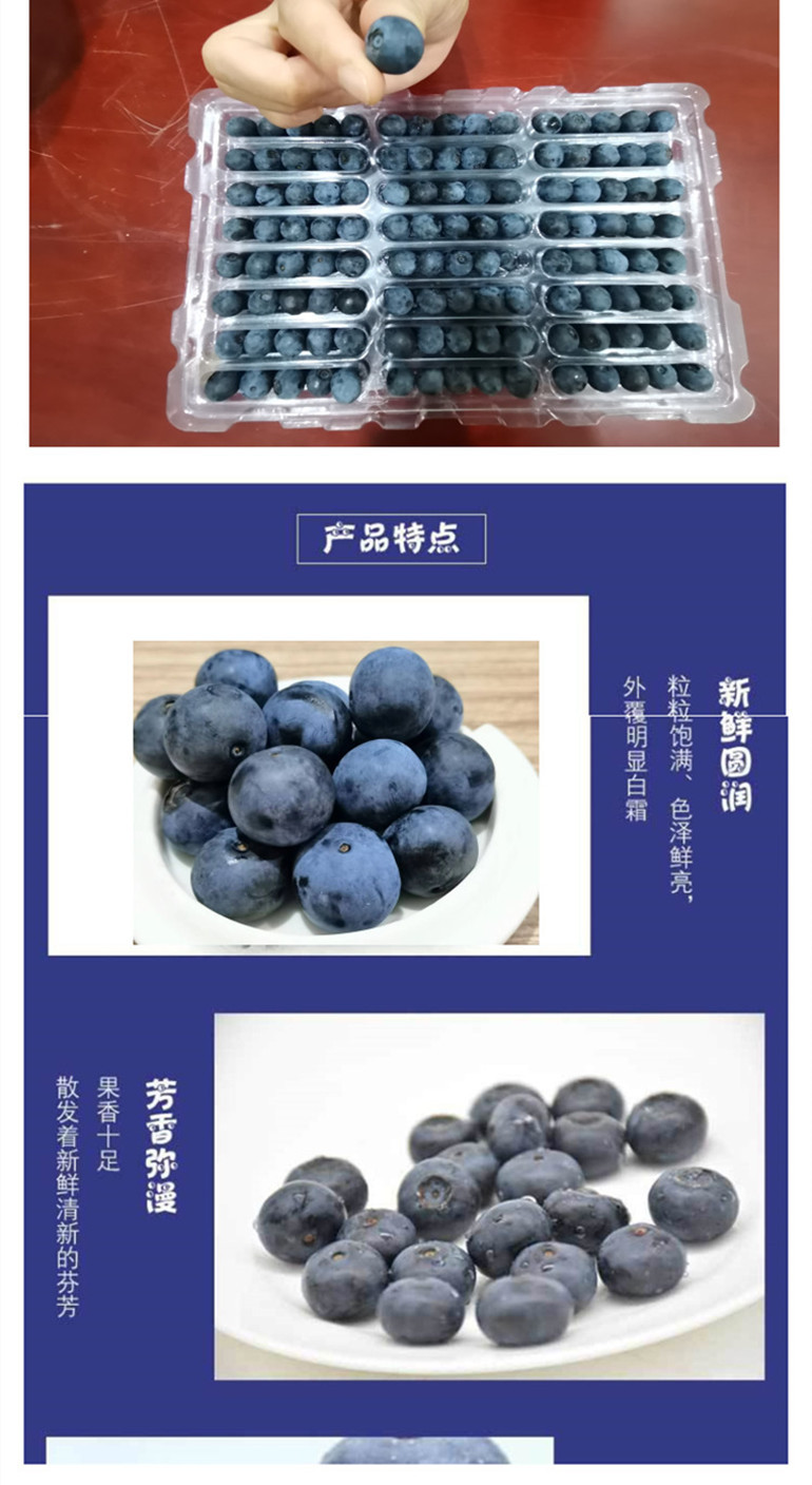 【麻江蓝莓】麻江蓝笑蓝莓鲜果2斤装 （果径16mm左右）新鲜采摘 三天内发货 限部分地区购