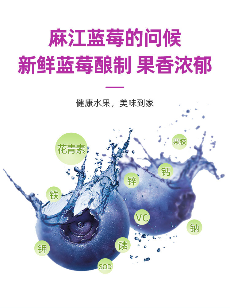 麻江蓝莓原浆酒 蓝莓果酒2件装 （6瓶/件） 500ml/瓶  包邮