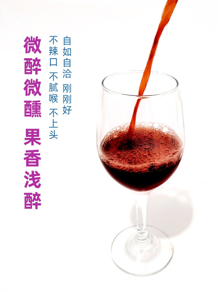 麻江蓝莓原浆酒 蓝莓果酒2件装 （6瓶/件） 500ml/瓶  包邮