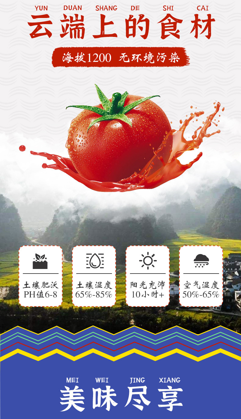酿三月 贵州特产凯里红酸汤480g/1.5kg 贵州红酸汤火锅底料调