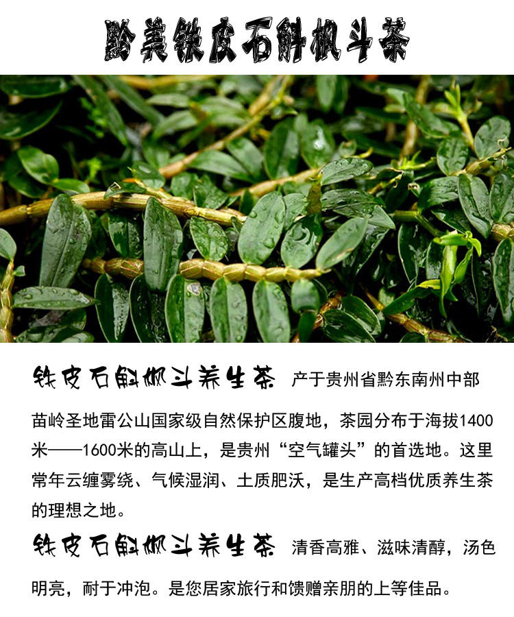 贵州黔美养生茶铁皮石斛枫斗茶