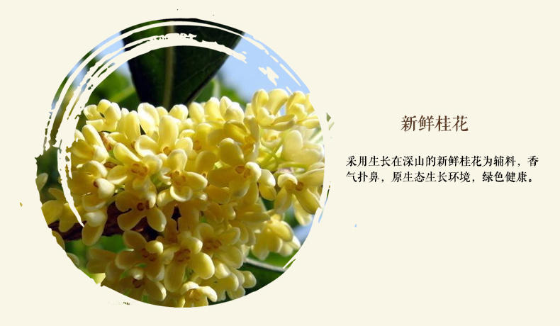 红糖姜茶桂花红糖300g罐装