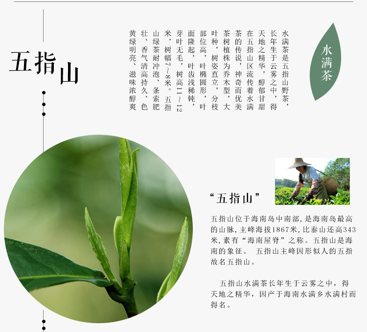 海南五指山红茶 礼盒装 印象水满茶世纪传奇 一级红茶100g礼盒装