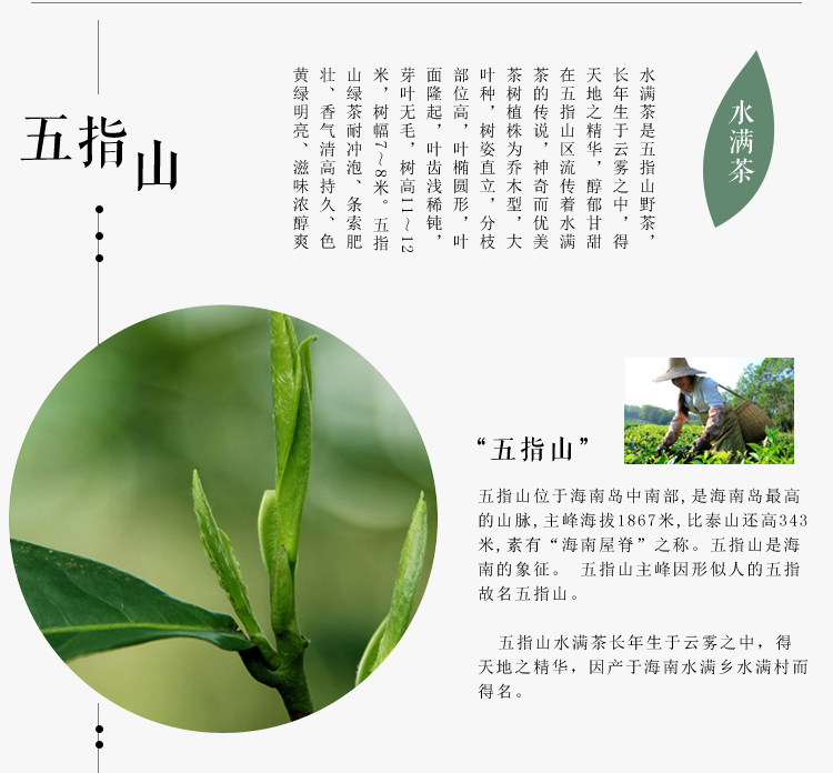 海南五指山红茶  印象水满茶五指山红茶45g*2罐一级红茶叶