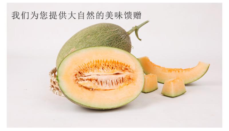 【源产地】新疆西州蜜瓜2个 哈密瓜新鲜水果鲜果蜜瓜