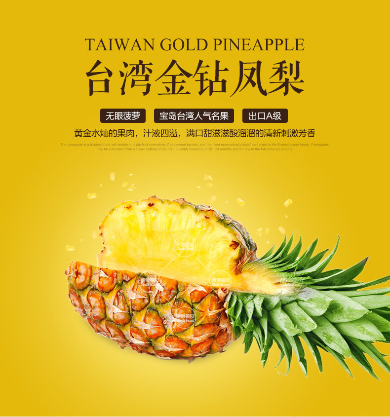 【源产地】台湾17号金钻特产凤梨2颗装 新鲜进口水果 包邮
