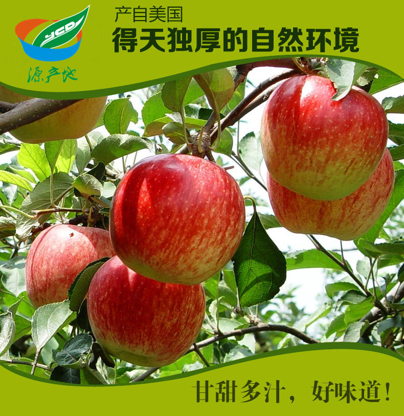 【源产地】美国加力果进口红苹果12个 单果约150g 新鲜水果 包邮