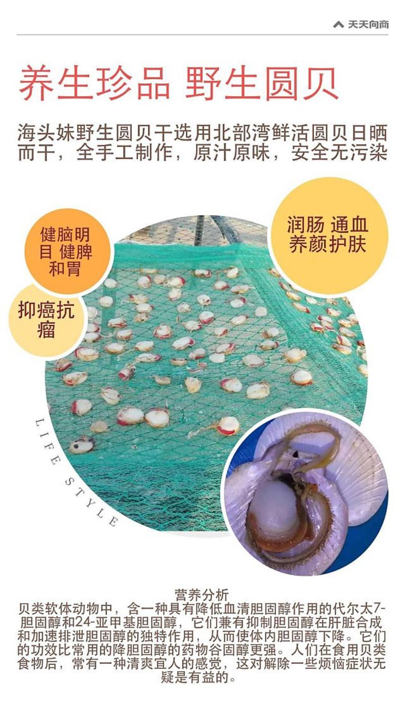 海头妹海南特产野生圆贝干北部湾农家手工制作无添加剂送礼佳品