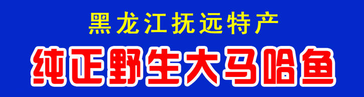 黑龙江 抚远特产 野生大马哈鱼 新鲜腌制 整条2kg