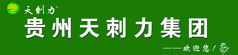 天刺力维C之王贵州特产野生天刺梨果脯120g袋装