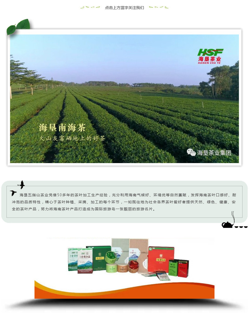 【海南邮政】海南北纬18度 高山云雾茶 金鼎红茶 （250g）