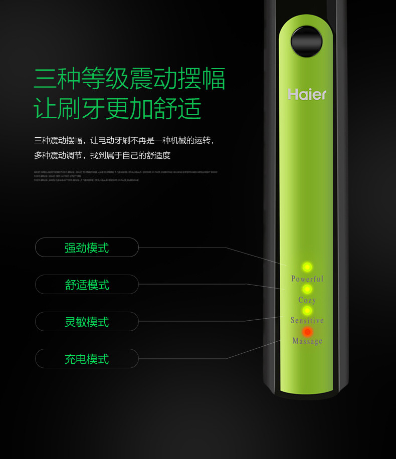 【石家庄馆】海尔/Haier 海尔震动式电动牙刷（黑绿色）DY-05