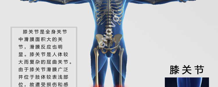 badica运动 羽毛球跑步自行车骑行保暖健身男女护膝包邮bt6409